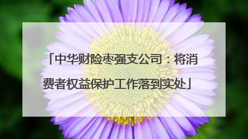 中华财险枣强支公司：将消费者权益保护工作落到实处